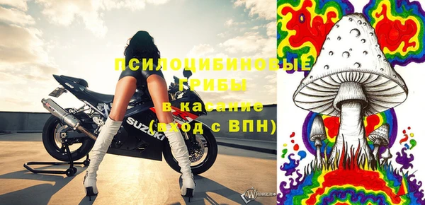 ГАЛЛЮЦИНОГЕННЫЕ ГРИБЫ Алексеевка