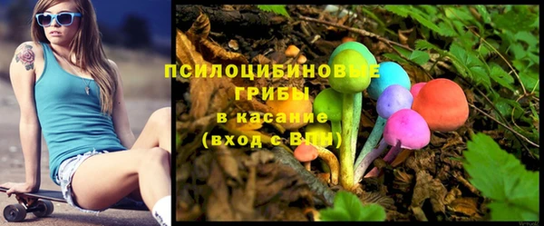 дурь Алексин